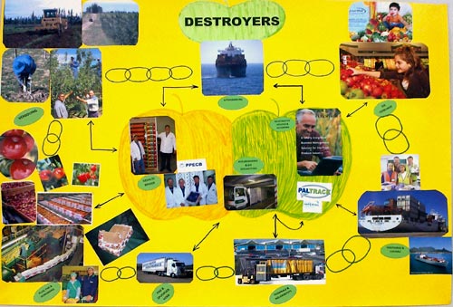 Sainsbury's Top of the Class groups' winning posters depicting the fruit supply chain